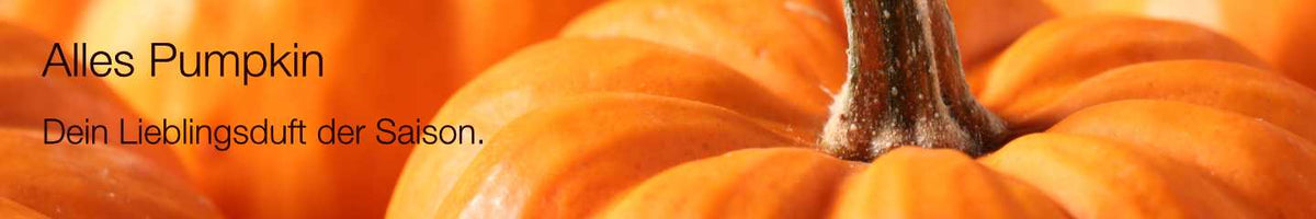 Collection-Banner