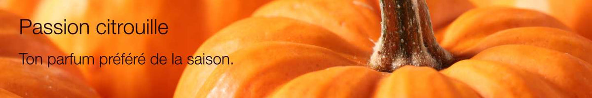 Collection-Banner