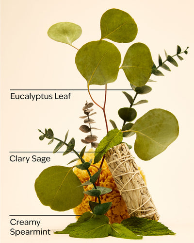 
  Eucalyptus Spearmint
