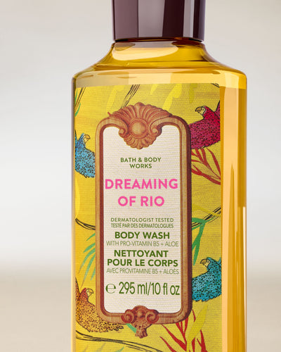 
  Dreaming of Rio
