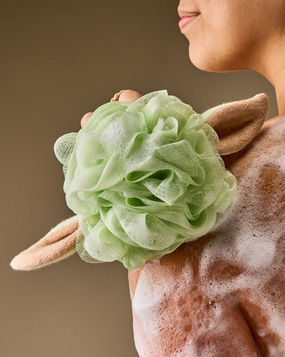 
  Grogu
