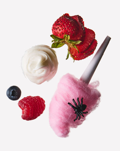 
  Zuckerwatte-Spinnweben
