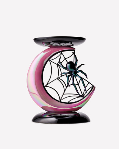 
  Spider and Moon 
