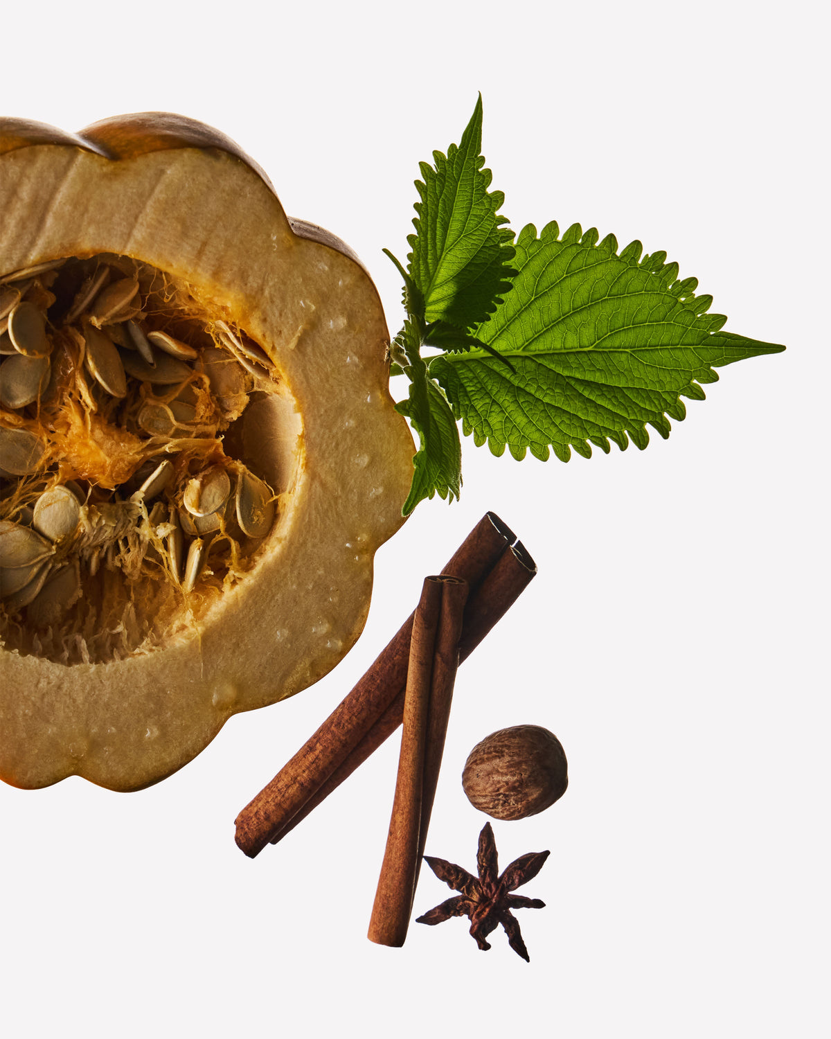 OM_F