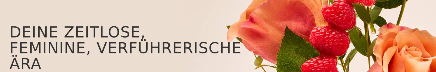 Collection-Banner