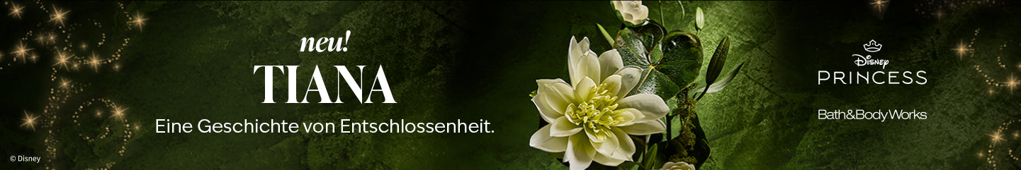 Sammlung-Banner