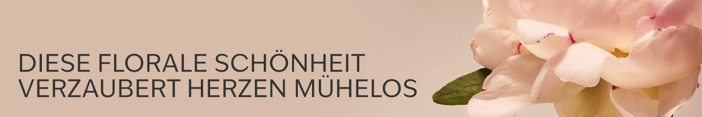 Collection-Banner