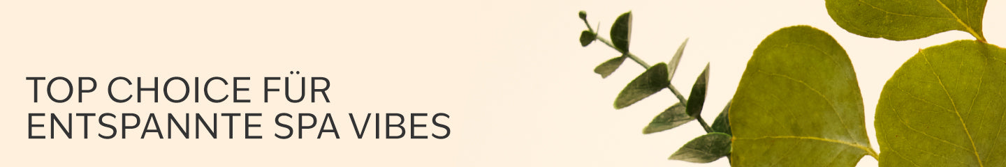 Collection-Banner