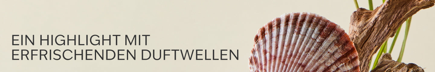 Collection-Banner