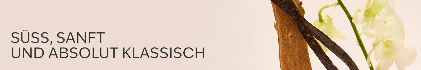 Collection-Banner