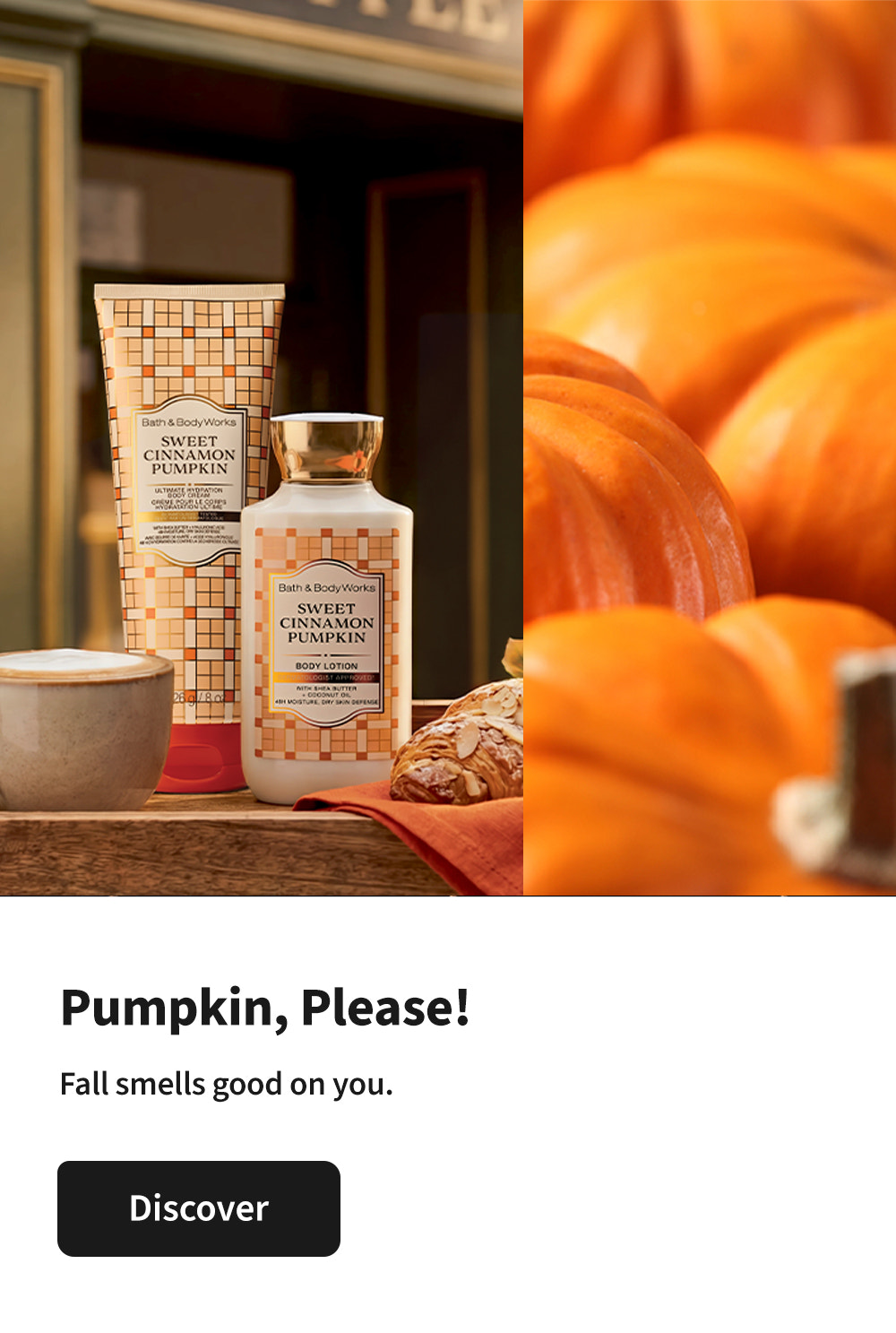 New - Pumpkin Favorites
