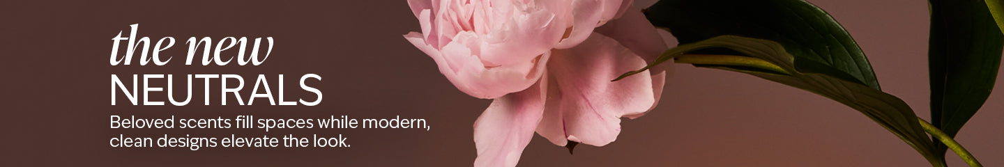 Collection-Banner