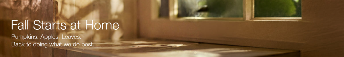 Collection-Banner