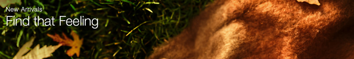 Collection-Banner