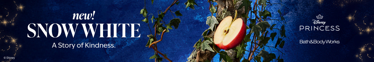 Sammlung-Banner