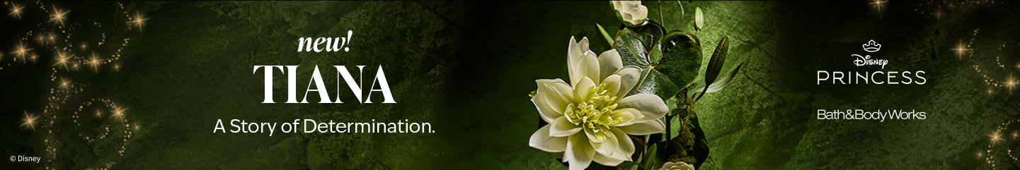Sammlung-Banner