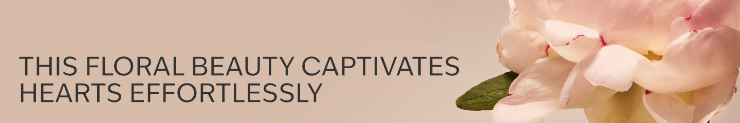 Collection-Banner