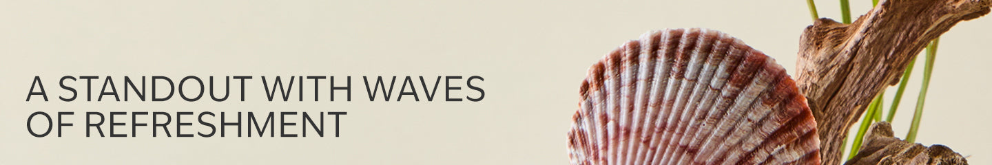 Collection-Banner