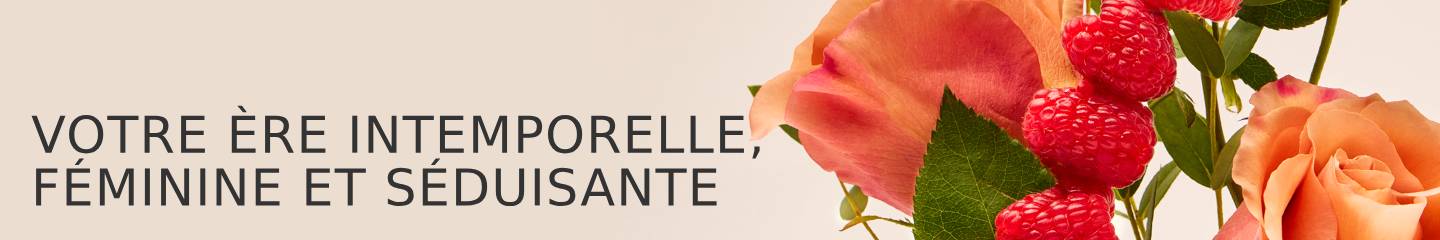 Collection-Banner