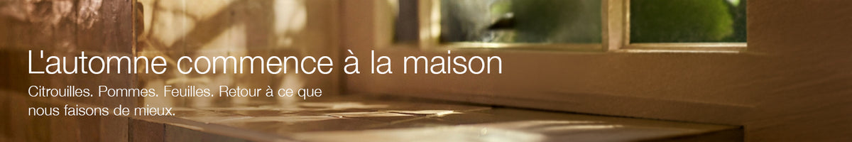 Collection-Banner