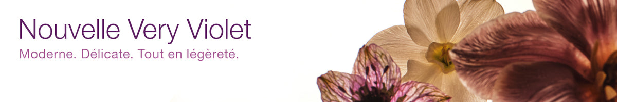 Collection-Banner