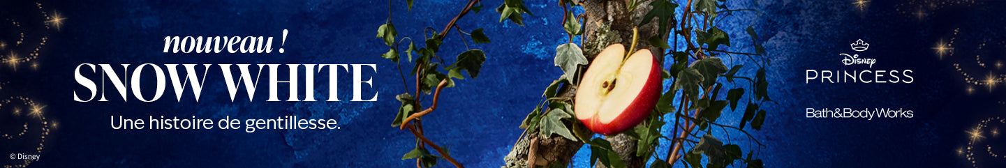 Sammlung-Banner