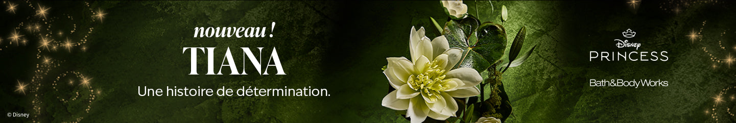 Collection-Banner