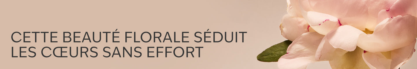 Collection-Banner
