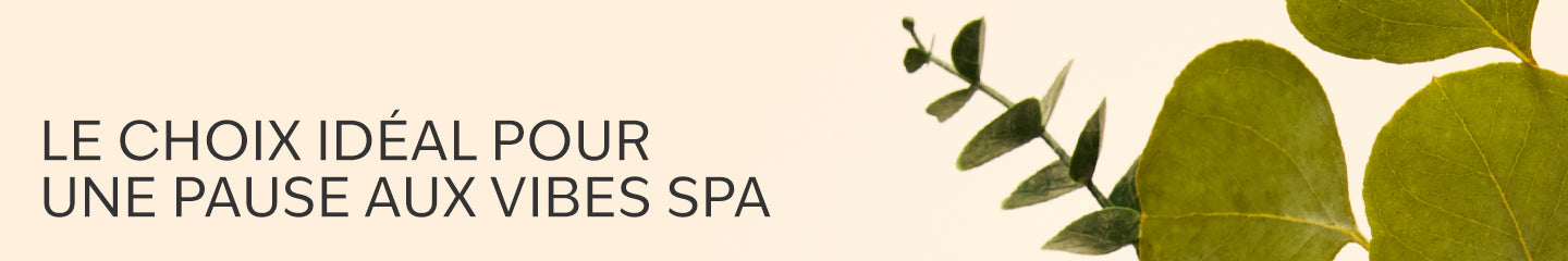 Collection-Banner