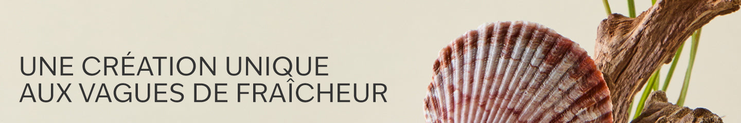 Collection-Banner