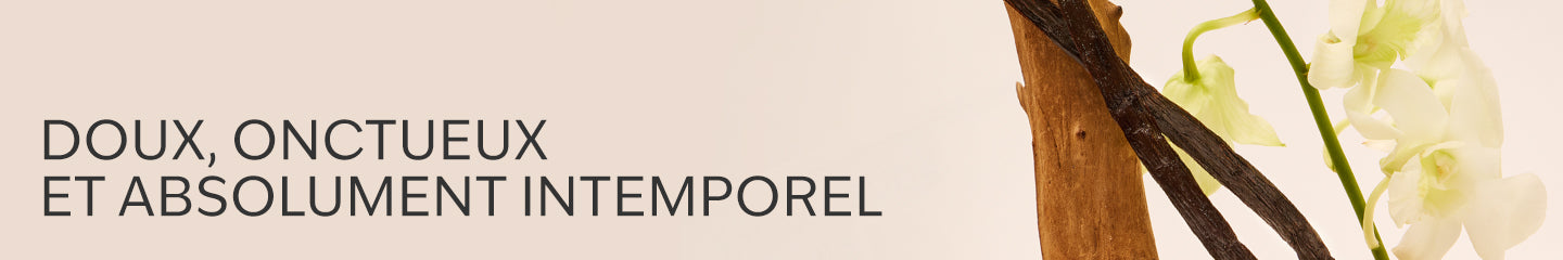 Collection-Banner