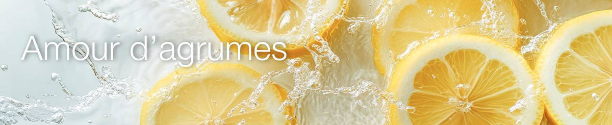 Collection-Banner