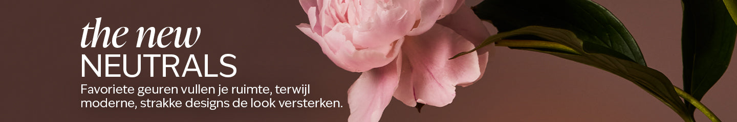 Collection-Banner
