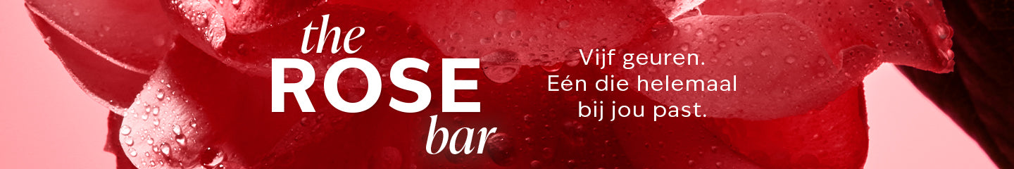 Collection-Banner