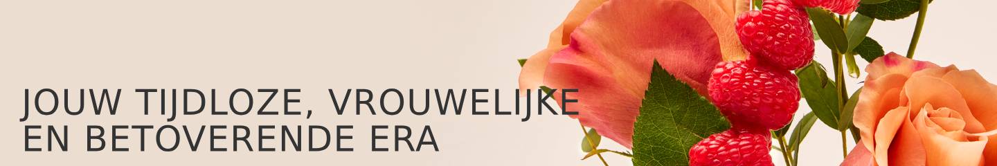Collection-Banner