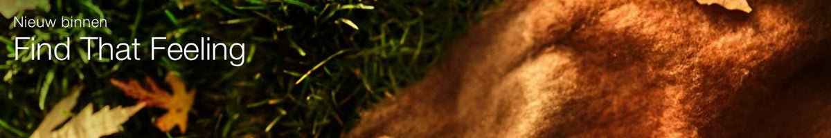Collection-Banner