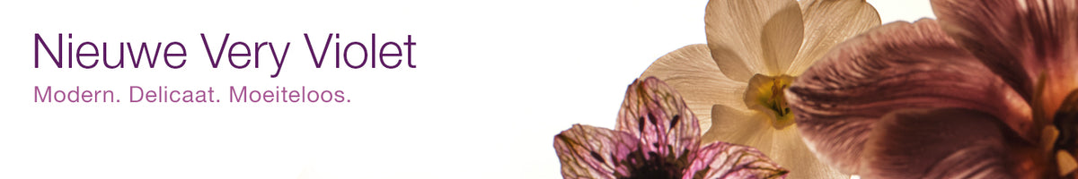 Collection-Banner