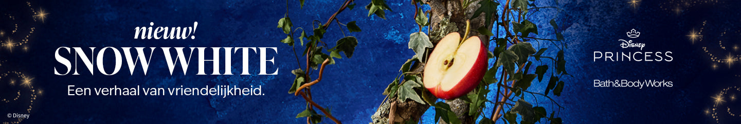 Collection-Banner