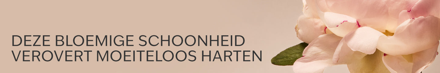 Collection-Banner