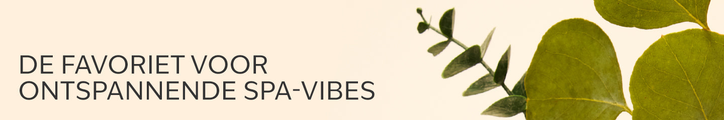 Collection-Banner