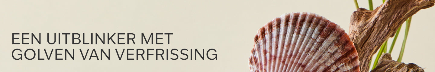 Collection-Banner