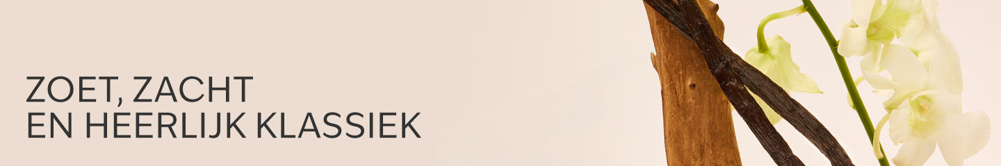 Collection-Banner